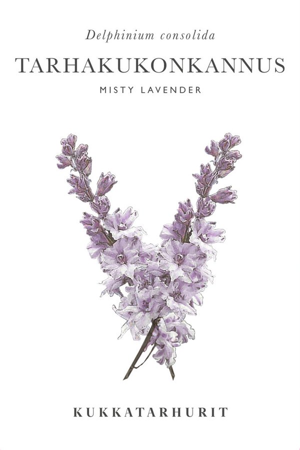 Kukkatarhurit - Tarhakukonkannus Misty Lavender (Delphinium consolida)